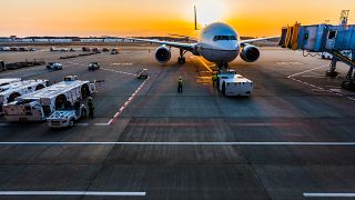  Пилотът на полета на Air Atlanta Icelandic заяви по радиото на контрольорите, казвайки: „ Ние сме товарен аероплан с живо животно, кон, на борда. “ 