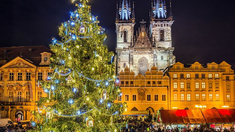 A magnificent Christmas tree at Prague Christmas market.