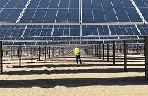 الإمارات تدشّن إحدى أكبر محطات الطاقة الشمسية في العالم 