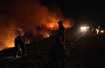 Il Brasile è devastato dagli incendi