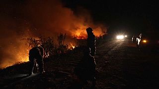 Vegetationsfeuer in den Feuchtgebieten Brasiliens, Poconé, Mato Grosso, Brasilien, 15. November 2023 