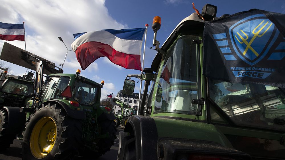 Dutch election: Here’s why a nitrogen reduction target is a big issue