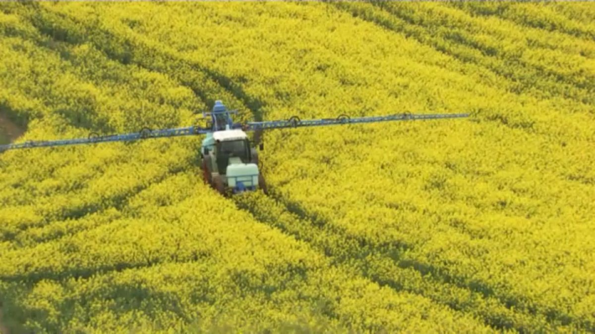 90% des produits phytopharmaceutiques (fongicides, herbicides et pesticides) sont dédiés à l'usage agricole.