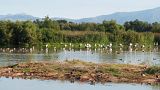 A new European nature law seeks to save wetlands, but some myths are getting in the way.
