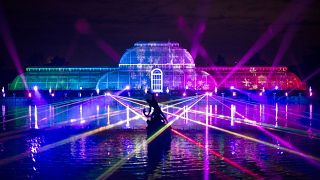 The Palm House finale, Christmas at Kew 2019. 