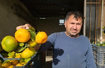 Narenciye meyvelerinin satışlarındaki durgunluk nedeniyle sorun yaşanıyor.