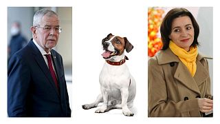 سگ رئیس‌جمهوری مولداوی دست رئیس‌جمهوری اتریش را گاز گرفت