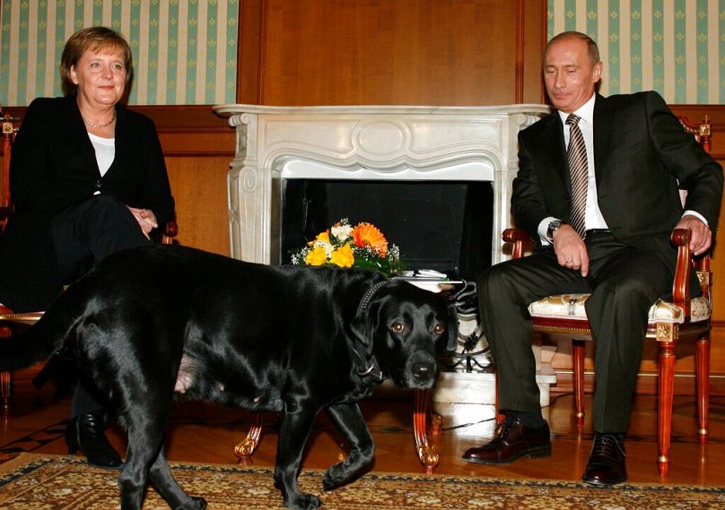 سگ ولادیمیر پوتین در دیدار او با آنگلا مرکل، صدراعظم آلمان