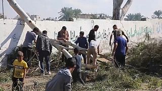 لجأ سكان غزة إلى قطع الأشجار