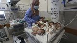 Frühchen aus Gaza: die Babys sollen nach Ägypten gebracht werden