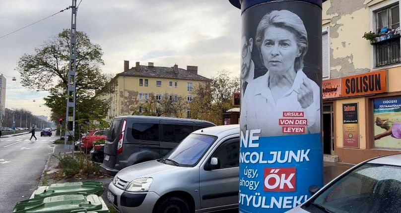 The posters have been plastered across Hungarian cities, including Budapest.