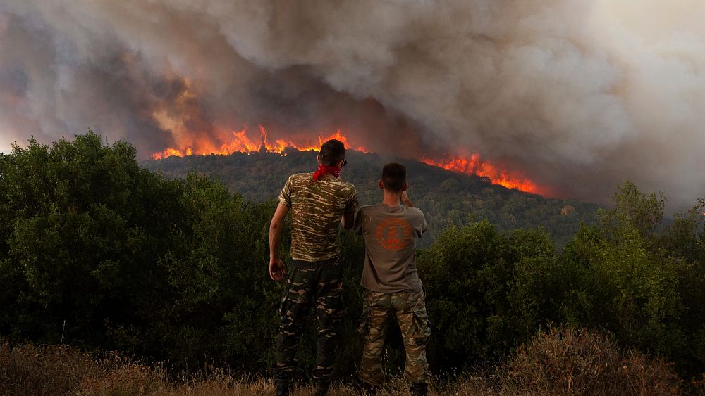 Пламъци изгарят гора по време на горски пожари близо до