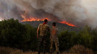 Пламъци изгарят гора по време на горски пожари покрай село Сикорахи, покрай град Александруполис, в североизточния район Еврос, Гърция, август 2023 година 