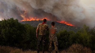 Las llamas queman un bosque durante los incendios forestales en el pueblo de Sykorrahi, cerca de la ciudad de Alexandroupolis, en la región nororiental de Evros, en Grecia.