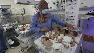 ممرضة تعتني بأطفال فلسطينيين مولودين قبل الأوان بعد إجلائهم من مستشفى الشفاء في غزة إلى مصر 