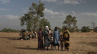 Senegal's pastoralists face pressure from climate change