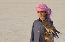 The best of Qatar in 2023: Falconry, geeks, and Korean barbecue