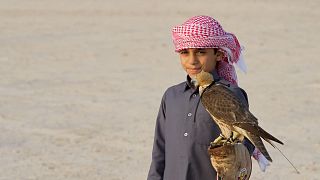 The best of Qatar in 2023: Falconry, geeks, and Korean barbecue
