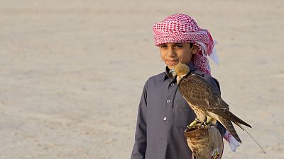 The best of Qatar in 2023: Falconry, geeks, and Korean barbecue