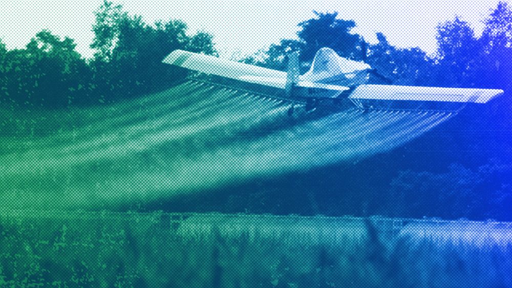Самолет за опрашване на културите пръска поле с царевица юли