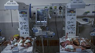 Israel-Hamas war: 28 premature babies evacuated from al-Chifa arrived in Egypt