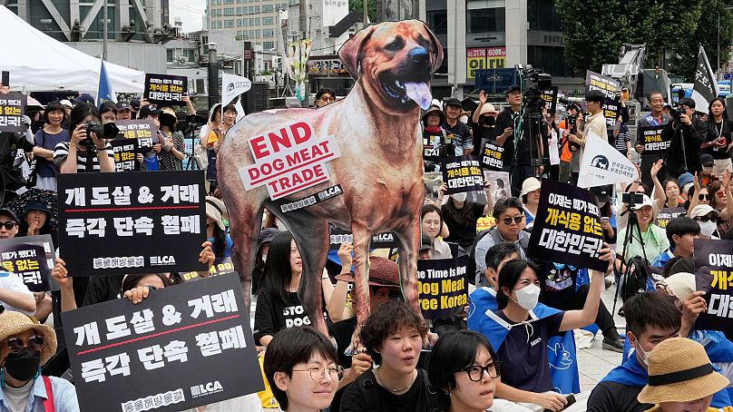Animal rights activists stage a rally opposing South Korea's traditional culture of eating dog meat in Seoul, South Korea, 8 July 2023.