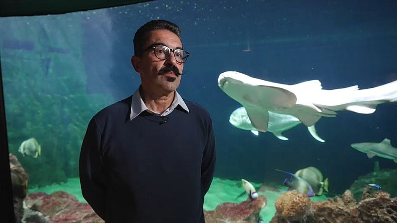Giovanni Raimondi, de l'Aquarium de Livourne, veut nous faire changer de vision sur les requins