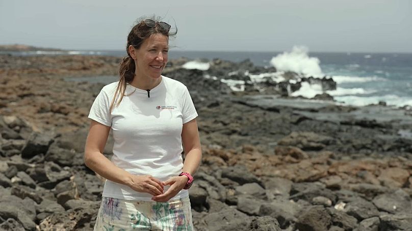 Eva Meyers, co-fundadora e co-líder do Projeto Tubarão-Anjo