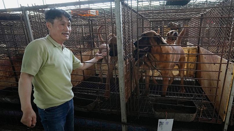 کیم جونگ کیل در دامداری پرورش سگ های خود در پیونگ‌تائک، کره جنوبی