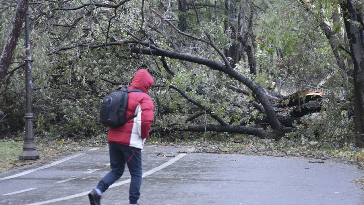 Ανυπολόγιστες οι υλικές ζημιές από το σαρωτικό πέρασμα της καταιγίδας στις δύο ρουμανικές επαρχίες