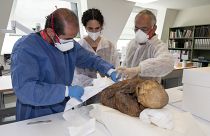 Работники музея подготавливают мумии для передачи Боливии