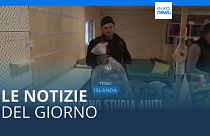 Le notizie del giorno | 21 novembre - Serale
