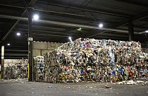 Склад мусорных отходов, предназначенных для переработки 