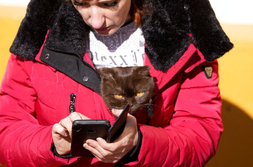 A woman with a cat inside her jacket checks her mobile phone as she takes rest in a reception center for displaced persons fleeing Ukraine, in Beregsurany, March 2022