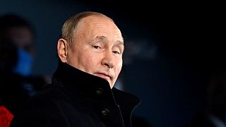 Putin, pictured here last year, has drawn criticism for the move 