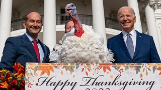  Президентът Джо Байдън стои до Либърти, една от двете национални Пуйки за Деня на благодарността, откакто ги помилваха по време на гала на южната ливада на Белия дом 