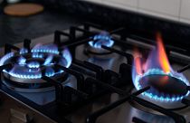 Years of research has shown gas stoves can cause air pollution to rise above safe levels in homes.