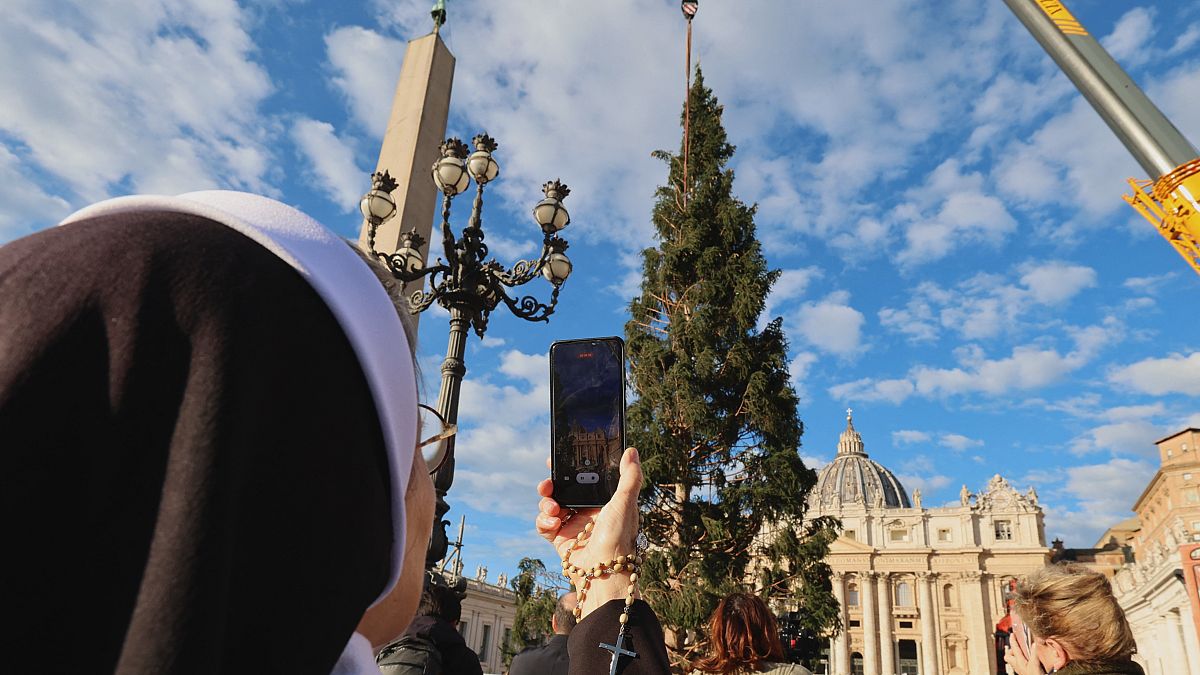 Месяц до рождества: в Ватикане установили ёлку.