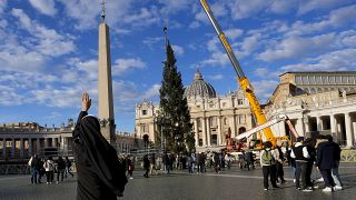 Colocan el árbol de Navidad en la Plaza de San Pedro, el Vaticano, jueves 23 de noviembre de 2023.