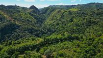 Want the greenest and wildest landscapes in the Dominican Republic? Pay a visit to Samaná