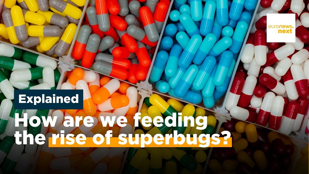 Antimicrobial Resistance (AMR): Stopping the rise of superbugs! 