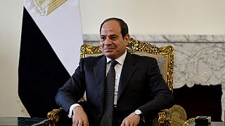 Egyptian President al-Sissi calls for "recognition of the State of Palestine"