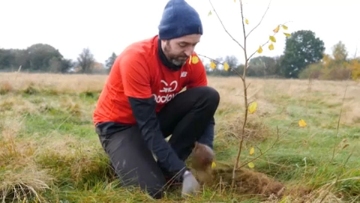 Εθελοντής του Wildlife Trust φυτεύει δέντρο στο Λούτον