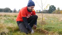 Un bénévole de "The Wildlife Trust" plante un arbre à Luton, au Royaume-Uni, novembre 2023.