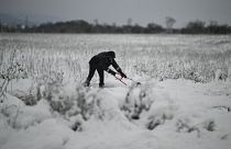 A local resident clears snow from a path after heavy snowfall, on the outskirts of Sofia, Bulgaria on Sunday