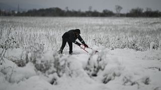 A local resident clears snow from a path after heavy snowfall, on the outskirts of Sofia, Bulgaria on Sunday