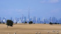 Dubai ist diesjähriger Gastgeber der COP28-Klimagespräche der Vereinten Nationen, 