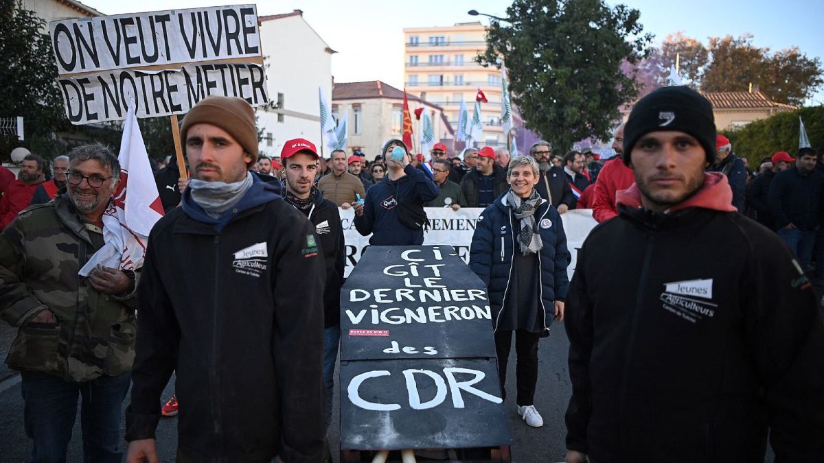 Des manifestants portent un faux cercueil sur lequel on peut lire "Ci-gît le dernier vigneron des CDR (Côtes du Rhône)" lors d'une manifestation le 25 novembre.