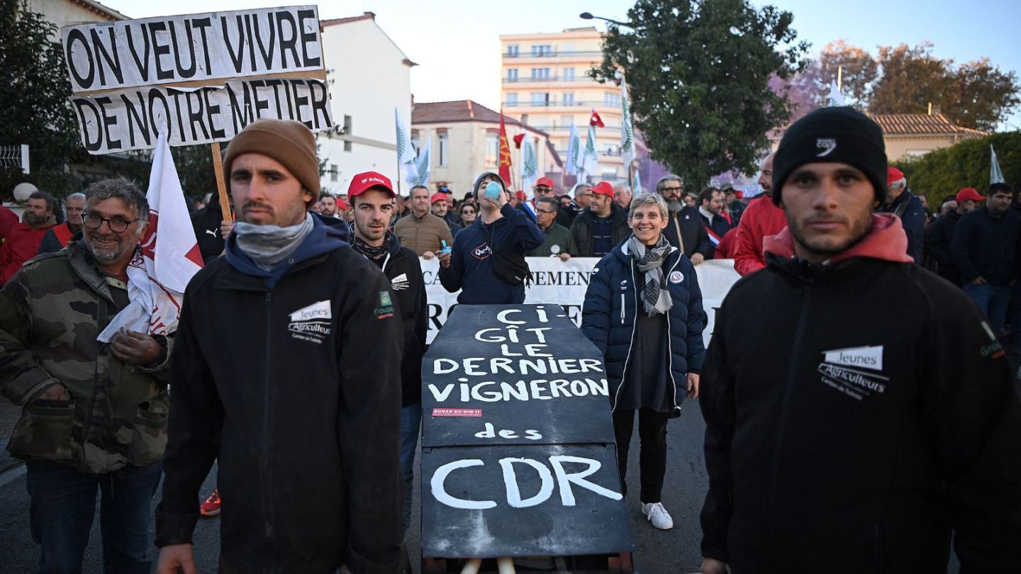 Grapes of wrath: French winemakers protest government minimum pricing  proposal | Euronews