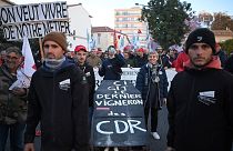 Protesters hold a mock coffin reading "Here lies the last winemaker of the CDR (Cote du Rhone)" during a protest on 25 November.